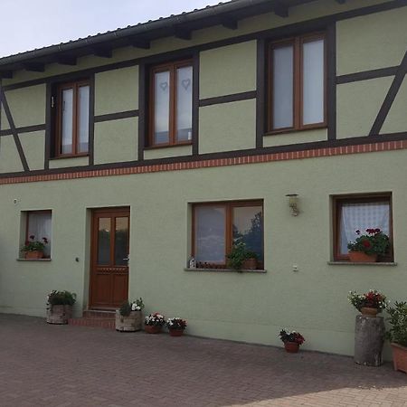 Ferienhaus Am Stadtpark バレンシュテット エクステリア 写真